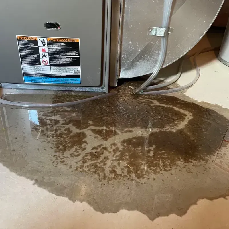 Appliance Leak Cleanup in Lakes, AK